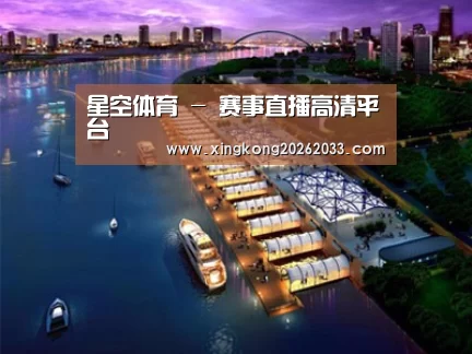 案例展示八
